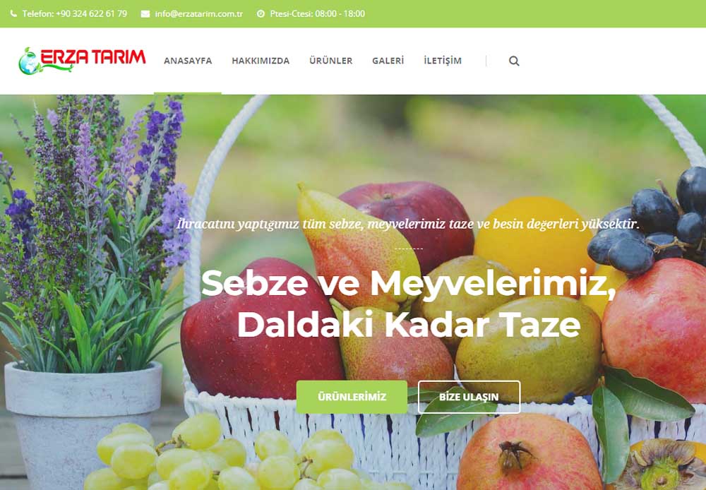Mersin Erza Tarm Sebze, Meyve Narenciye hracat websitesi ilkedesign tarafndan yaplmtr.